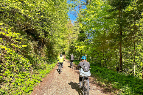 Brasov: E-biketocht naar Poiana Brasov (oude stad &amp; bos)