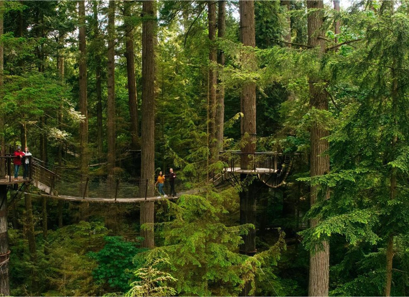 Vancouver: Capilano Suspension Bridge Park billet