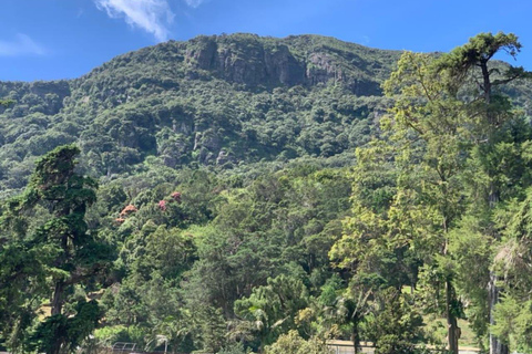 Kandy: Nuwara-Eliya Trip with Driver-Guide & Scenic Stops