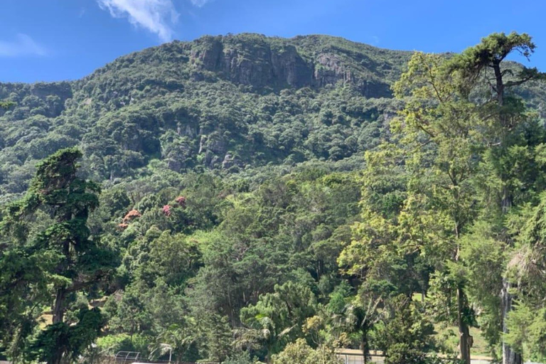 Kandy: Nuwara-Eliya Trip with Driver-Guide & Scenic Stops