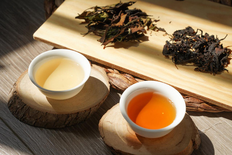 Guangzhou: Mahjong lesson &amp; Tea Tasting Immersion Experience