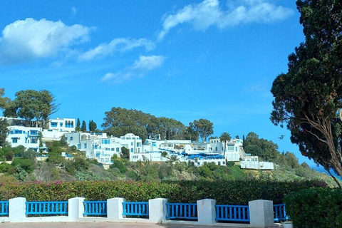 Excursion d&#039;une journée à Tunis Carthage Bardo depuis Hammamet