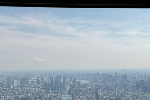 Tokyo Private Sightseeing Tour Customizable with Guide