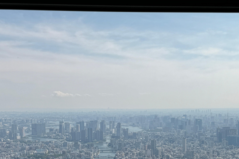Tokyo Private Sightseeing Tour Customizable with Guide