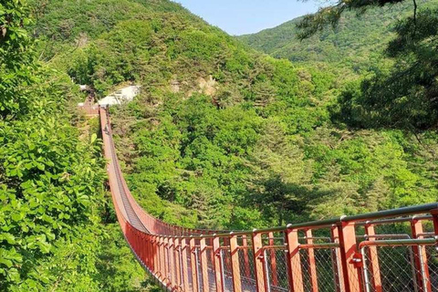 Seoul: DMZ Tour with Banpo Bridge Sunset & waterfall Café
