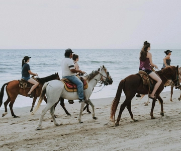 Ensenada: Horseback riding in the beach