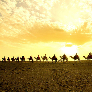 Hurghada: Oasis sunset with Camel Ride & stars