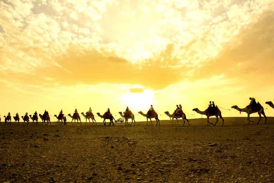 Hurghada: Sonnenuntergang in der Oase mit Kamelreiten & Sternen. Foto: GetYourGuide