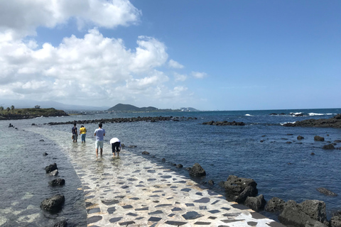 Visite en bus de l&#039;ouest de l&#039;île de Jeju au départ de la ville de Seogwipo, île de JejuVisite en bus de l&#039;ouest de l&#039;île de Jeju / petit déjeuner inclus