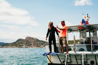 Desde L'Estartit, viaje de snorkel a las Islas Medes - Housity