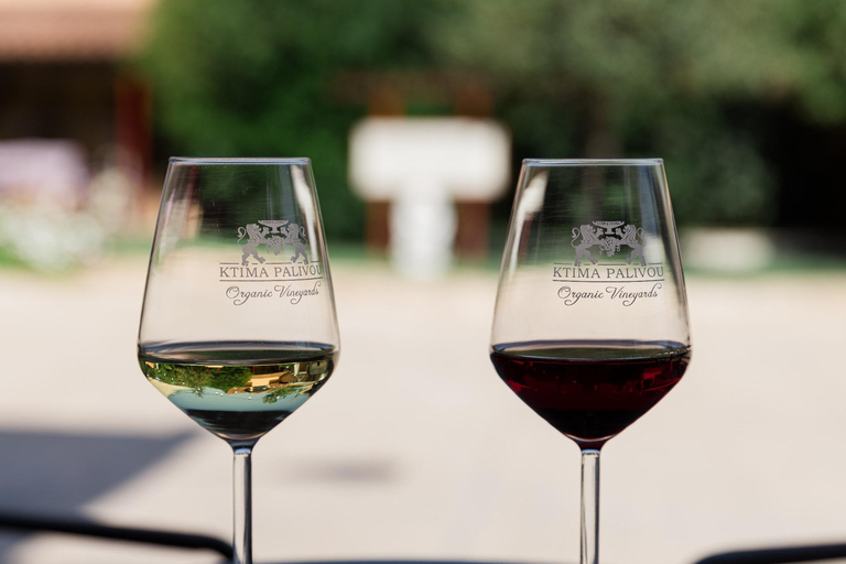Blend Your Own Wine in Nemea, Become a Winemaker for a Day