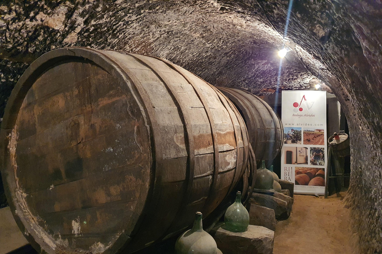 Ribera del Duero Sightseeing Tour: From Madrid to the Ribera del Duero - lunch included RIBERA DEL DUERO WITH FULL LUNCH INCLUDED