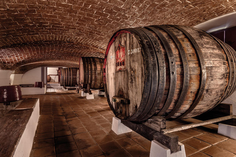 Reguengos de Monsaraz: José de Sousa Winery Tour and Tasting Reguengos de Monsaraz: José de Sousa Winery Tour and Tasting