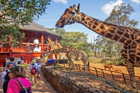 Tour di un giorno del Parco Nazionale di Nairobi e del Centro delle Giraffe