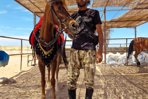 Makadi Bay: ATV, Horse, and Camel Ride Tour