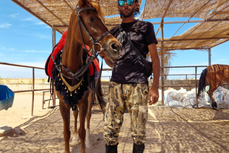 Makadi Bay: ATV, Horse, and Camel Ride Tour