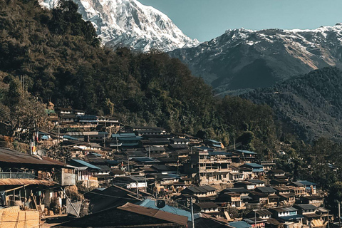 Ghorepani Poon Hill Trek with Hot Springs Experience
