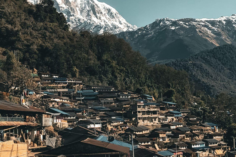 Ghorepani Poon Hill Trek with Hot Springs Experience