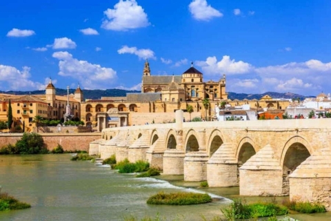 Sevilla: Private Tagestour nach Cordoba mit Moscheebesuch