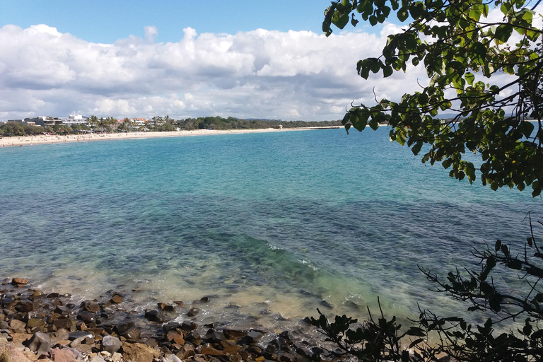 Glass House Mountains: Big Pineapple & Caloundra Markets