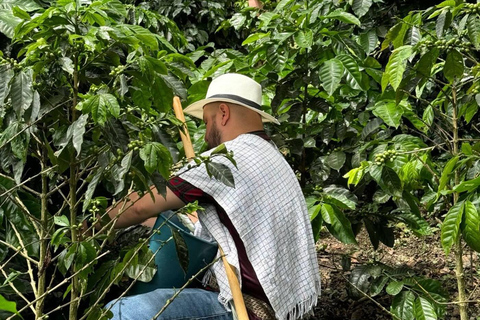 Bogotá: Choachí Farm-to-Cup Coffee Day Trip with Cupping