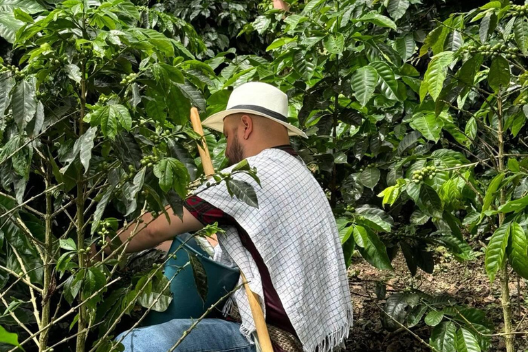 Bogotá: Choachí Farm-to-Cup Coffee Day Trip with Cupping
