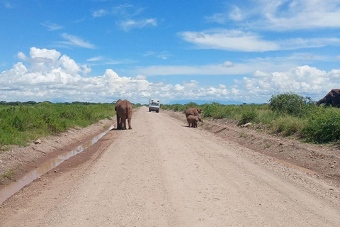 Nairobi: Amboseli National Park Day Trip with Lunch Luxury Landcruiser Option