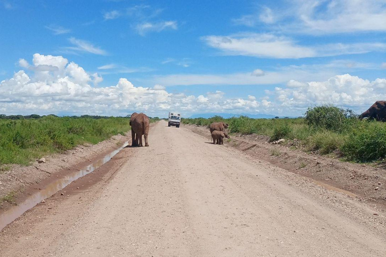 Nairobi: Amboseli National Park Day Trip with Lunch Luxury Landcruiser Option