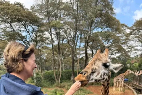 Nairobi: Guided Giraffes Centre & Karen Blixen Museum Tour. Nairobi: Karen Blixen Museum Guided Tour .