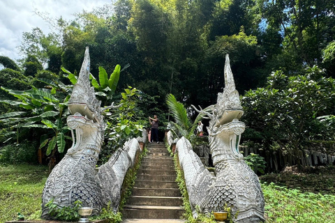 Chiang Mai: Santuario degli elefanti, sentiero dei monaci e tour di Doi SuthepPunto di incontro