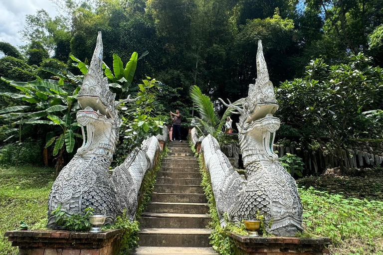 Chiang Mai : Sanctuaire des éléphants, sentier des moines et visite du Doi SuthepPrise en charge en hôtel à Chiang Mai Center