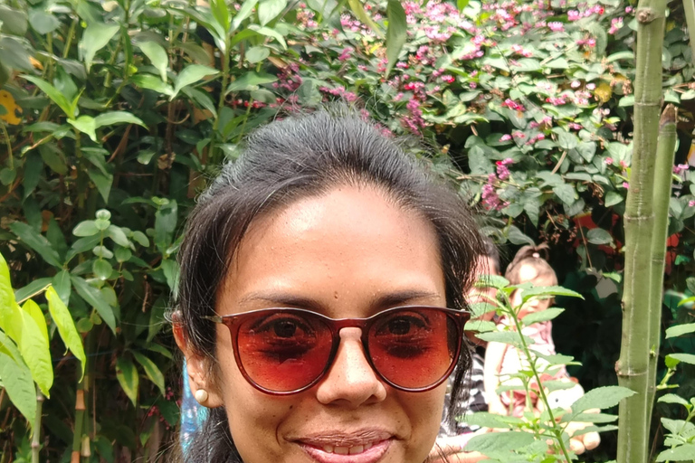 Quito: Waterfall, Hummingbirds, Butterfly Tour, Equator line