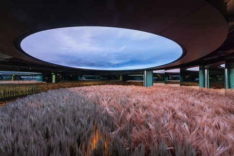 Dublin: Guinness Storehouse Connoisseur Experience