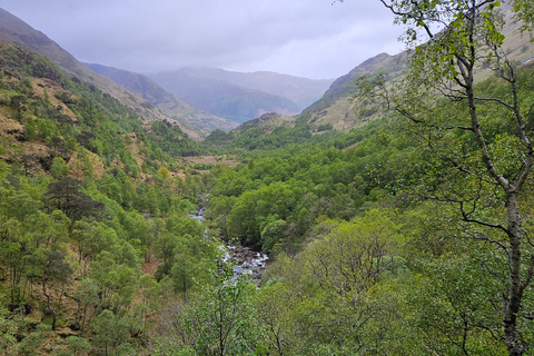 Fort William: Hiking Tour With Local Guide