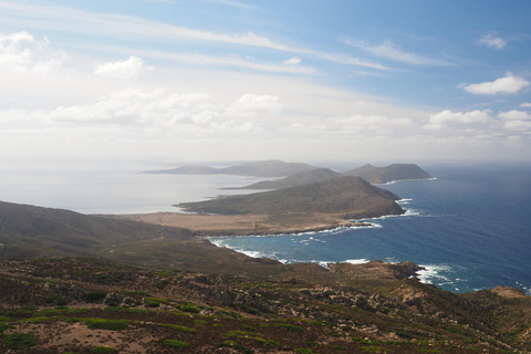 من ستينتينو جولة شاحنة أسينارا الصغيرة