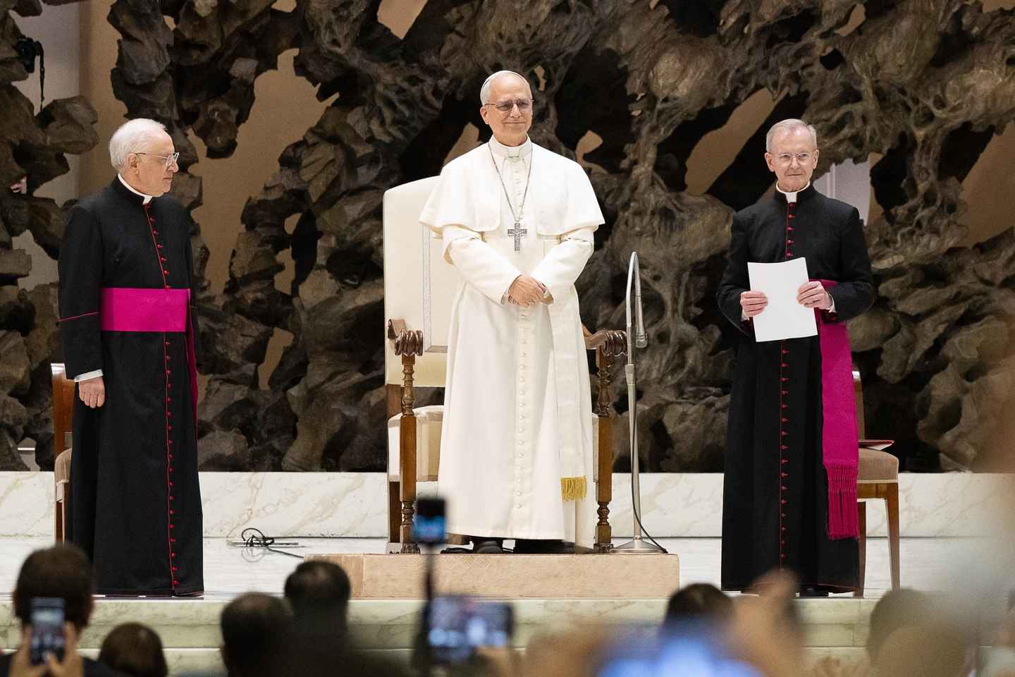 Rome: General Papal Audience & Vatican Museums Tour