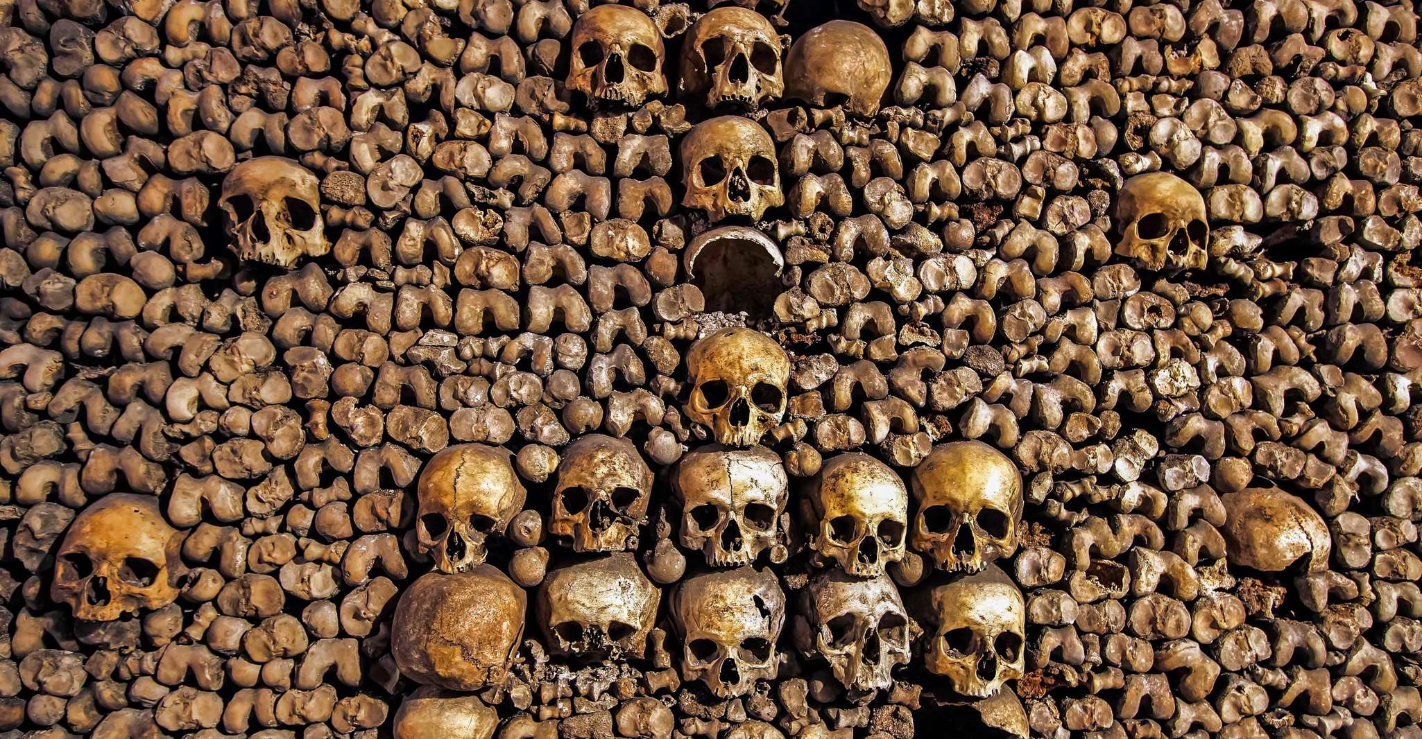 Paris: Catacombs Restricted Access Tour