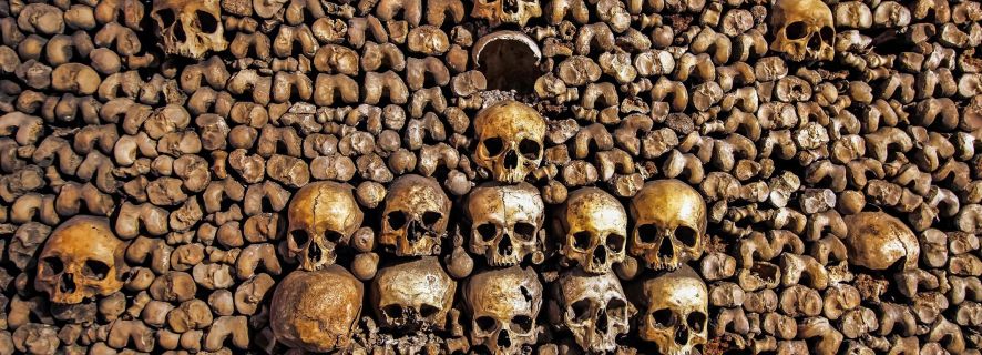 Paris Catacombs: VIP Skip-the-Line Restricted Access Tour