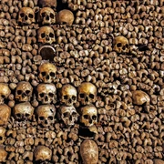 Paris: Catacombs Restricted Access Tour