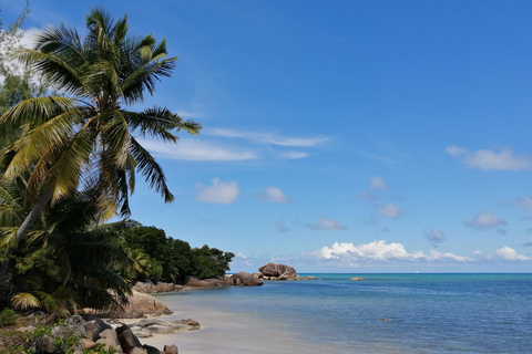 Praslin: Entdecke die Insel mit einem lokalen Guideprivate Tour durch Praslin auf Englisch