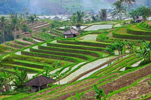 Bali: Nungnung Waterfall, Jatiluwih & Ulun Danu Temple Tour Small-Group Full-Day Tour – Excluding Tickets