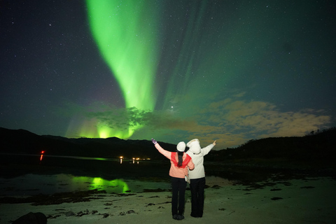 Tromsö: Norrskenstur med gratis professionellt porträttTromsø: Norrskenstur med gratis professionellt porträtt