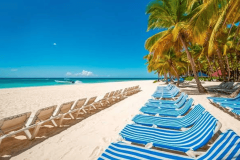 From Punta Cana: Saona Island Day Trip with Lunch & Drinks