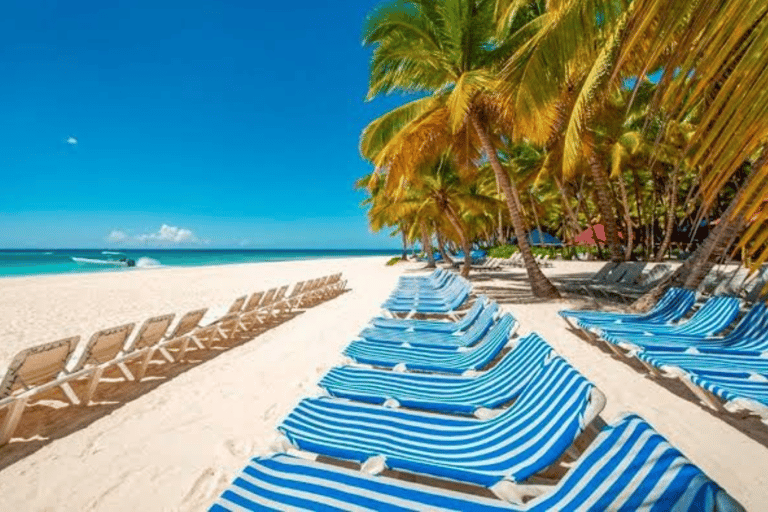 From Punta Cana: Saona Island Day Trip with Lunch & Drinks
