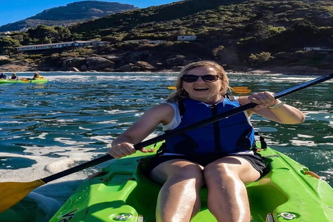 Simon's Town: Guided Kayak Adventure