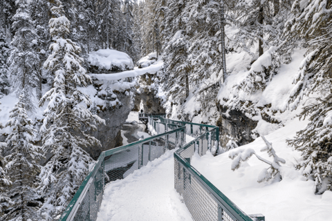 Patinage à Lake Louise et marche sur glace à Johnston CanyonLac Louise et canyon de Johnston