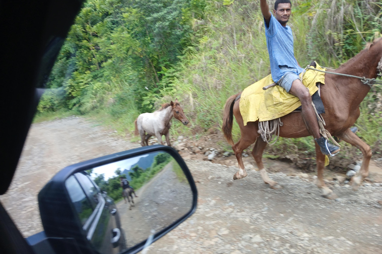 Wycieczka półdniowa do wioski Nalesutale z wędrówką po lesie deszczowymOdbiór z hoteli Fiji Marriott/Lautoka/Lautoka Wharf