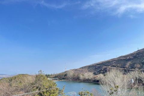 Tbilisi: Elegantie van traditionele architectuur &amp; Schildpaddenmeer