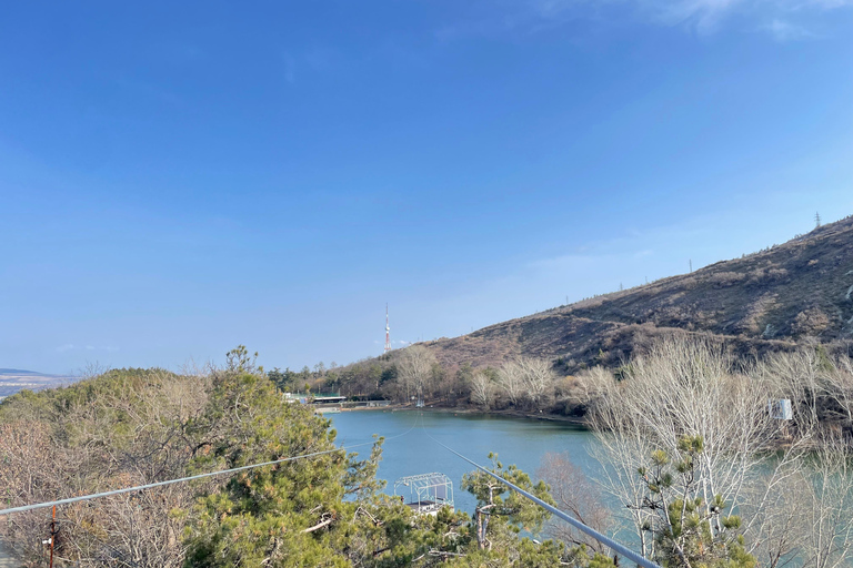 Tbilisi: Elegantie van traditionele architectuur &amp; Schildpaddenmeer