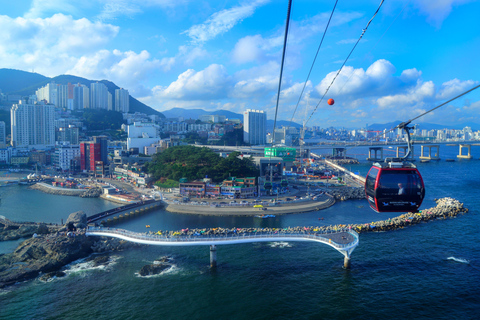 Busan Untold: War History, Hillside Villages & Songdo Cable Shared Group Tour, Depart from Busan Subway Station Exit 3